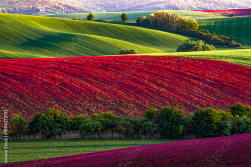 Photos Agriculture in South Moravia, Czech Republic