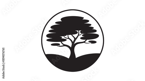 Acacia Tree Silhouette in Circular Frame for African Savanna Nature Conservation Safari Travel and Landscape Logo Design