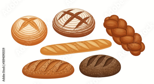 Assortment of Fresh Baked Bread Loaves and Braids on an Isolated White Background