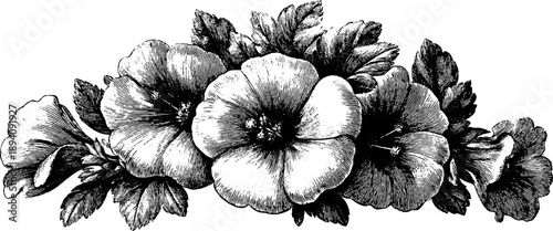 Vintage botanical heraldic medallion design with floral elements for decorative use