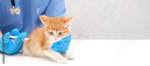 Tableau sur toile vet gives an injection to a little kitten