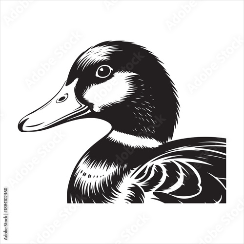 Duck head detailed etching vintage style, Duck Head Black and White Illustration