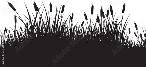 Black Silhouette of Cattails and Grasses on White Background