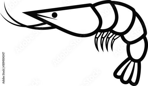 A black and white line drawing of a shrimp with a large head