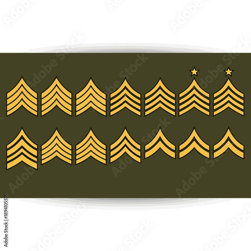 Military Rank Insignia: Chevron Stripes and Stars on Olive Green Background