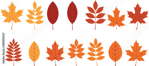 Set of autumn leaves in various shapes and orange shades isolated on white background, fall foliage vector illustration