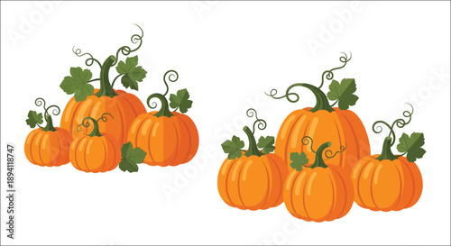 A collection of orange pumpkins with green vines and leaves