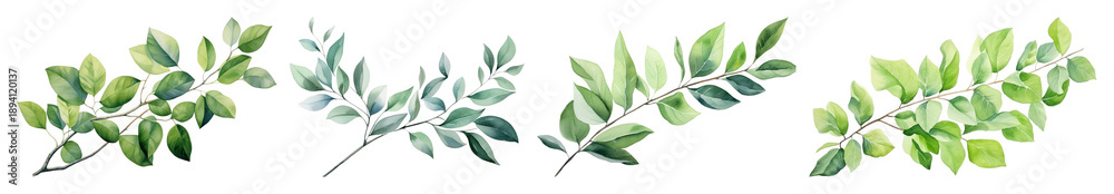 Fototapeta premium PNG Watercolor green leafy branches, transparent background