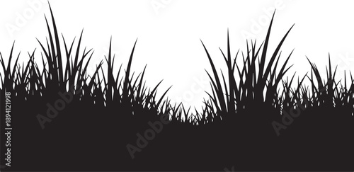 Black Silhouette of Grass on White Background Illustration