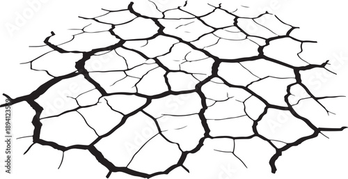 Cracked earth surface with deep black lines and white background