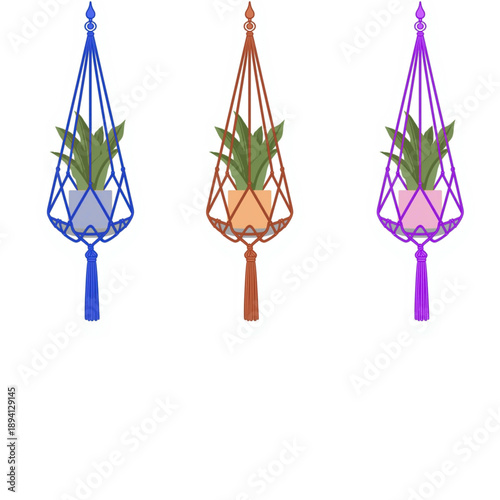 Vibrant macrame plant hangers with lush green plants