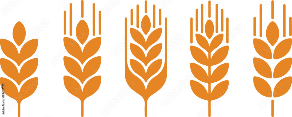 Fototapeta premium Wheats rye rice ears set icons design elements of organic agricultural food. Harvest wheat grain for beer logo, growth rice stalk and whole bread grains, barley field cereal nutritious - stock vector