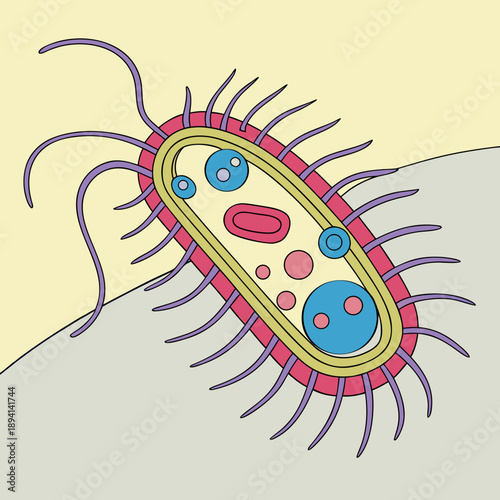 Microorganism Bacteria Structure - Scientific Illustration
