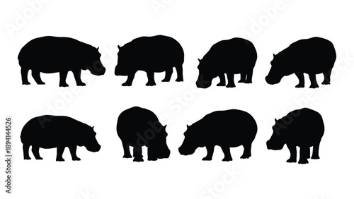 Silhouettes of hippos in various poses Vector