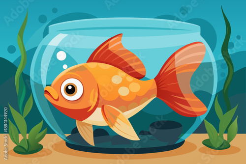 fish in the aquarium