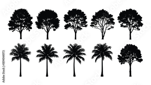 Collection of tree silhouettes Vector