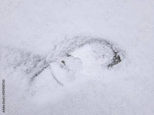 The big footprint of a sneaker in the cold, white snow.