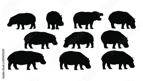 Collection of hippo silhouettes Vector
