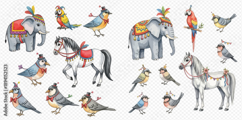 Watercolor illustration set of circus animals including elephants, horses, and various birds with decorative elements.