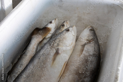 whole fish arranged inside a Styrofoam container with glas