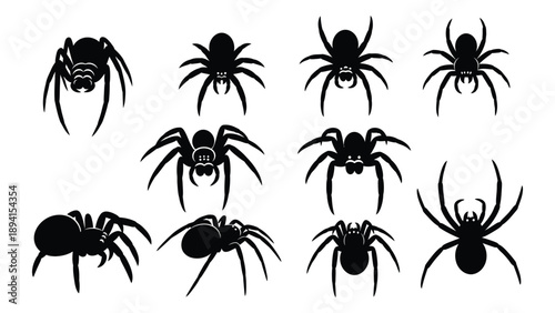Collection of black spider silhouettes Vector