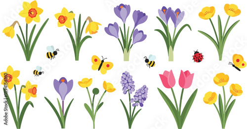 Spring flowers daffodils tulips crocuses bees butterflies ladybug