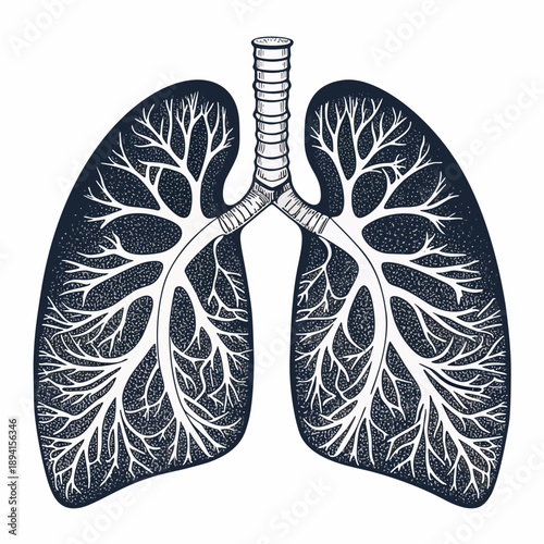 An intricate illustration of the human respiratory system, showcasing the bronchial tree and lungs in a detailed, artistic style