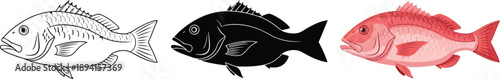 Fotografie Collection of three fish illustrations including a detailed line drawing a black