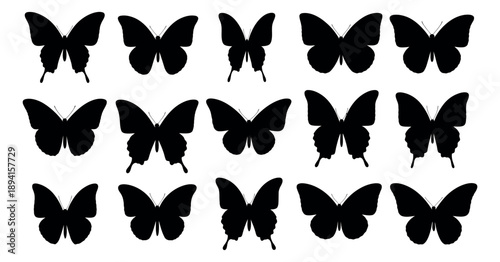 Stylized black butterfly silhouettes set featuring diverse flying insects for spring designs