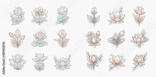 Set of elegant lotus flower illustrations with delicate watercolor textures.
