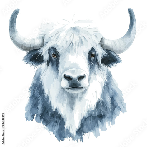 watercolor hand-drawn of Wild Yak, isolated on a white background.