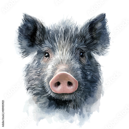 Wild Boar, playful watercolor vector painting with subtle shadowing and soft gradients, isolated on a white background.