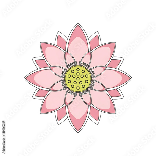 Soft pink daisy flower