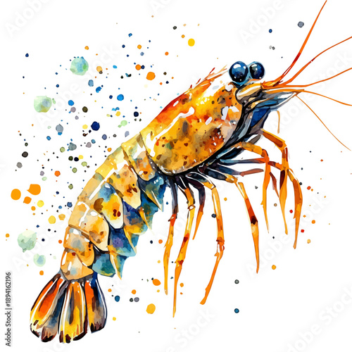 Shrimp, elegant watercolor vector illustration with flowing lines and gentle color transitions, isolated on a white background.
