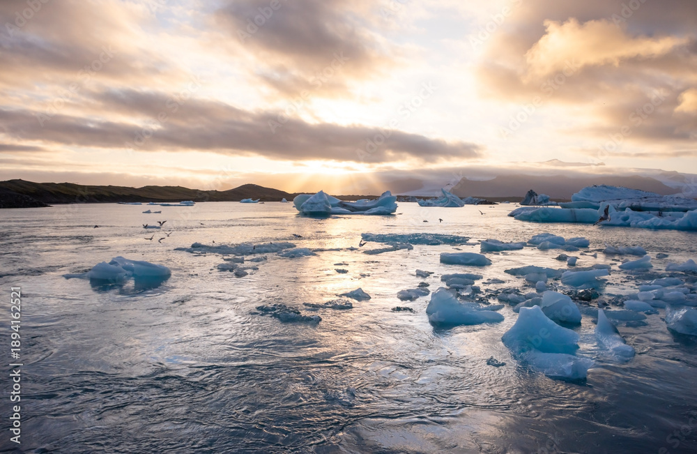 Fototapeta premium Icebergs float in Iceland's glacier lagoon, reflecting the warm colors of sunset. Birds fly above, adding life to the tranquil scene. This location is a must-see for nature enthusiasts.