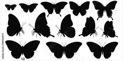 Collection of black butterfly silhouettes in various poses and sizes on a white background insect flying