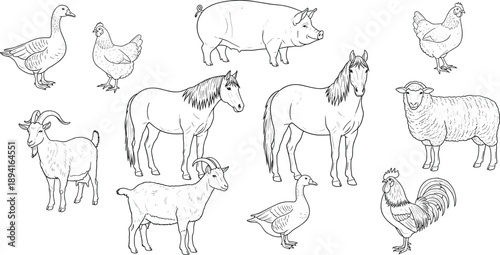 Collection of Farm Animals and Birds in Black and White Line Art Style Keywords: farm animals, livestock, domestic animals