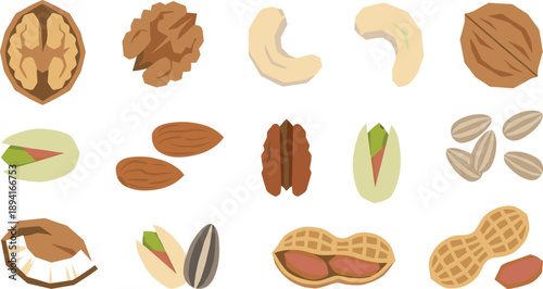 Mixed Nuts and Seeds Illustration Set with Walnut, Almond, Pistachio and Peanut