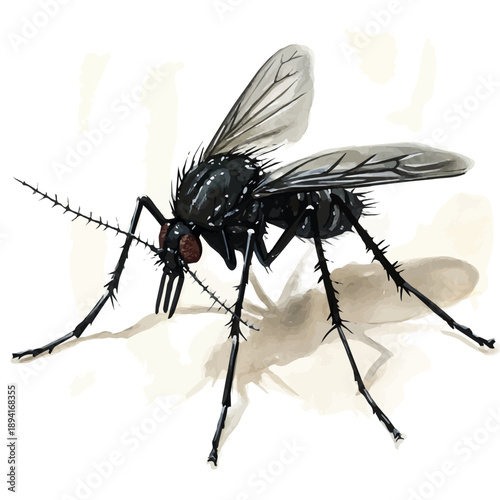 Mosquito, serene watercolor vector artwork with smooth washes of color and refined textures, isolated on a white background.