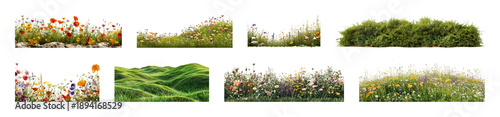 PNG Vibrant floral garden borders, transparent background
