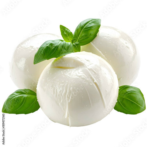 Three plump white mozzarella balls with fresh basil sprigs, set against a transparent background
