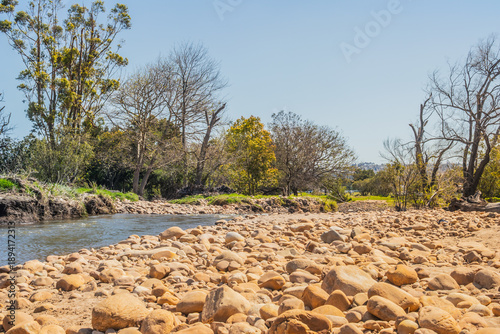 View of a running river surrounded by trees and bushes in a mountainous area in Cape Town, South Africa
