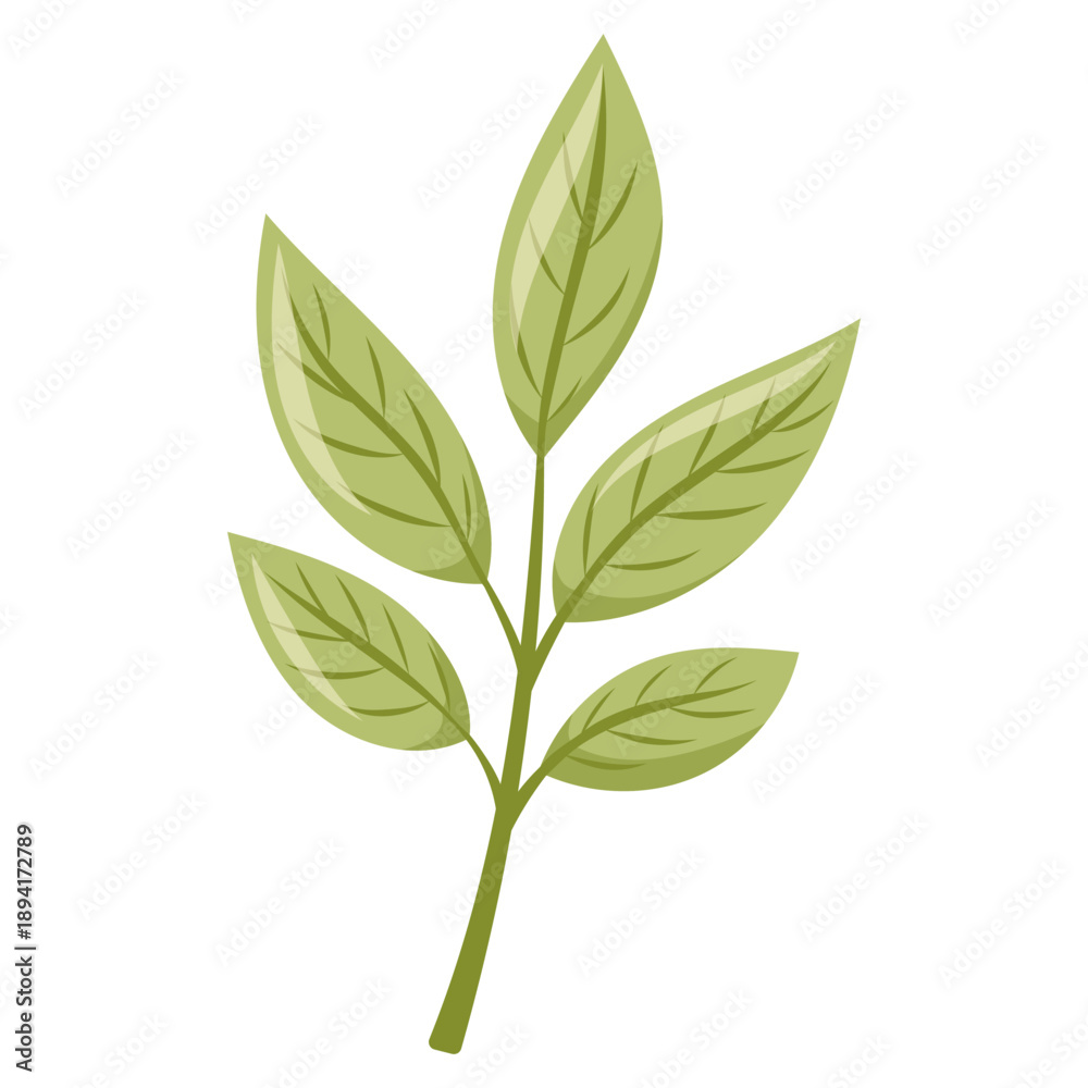 Fototapeta premium Eco icon with green leaf