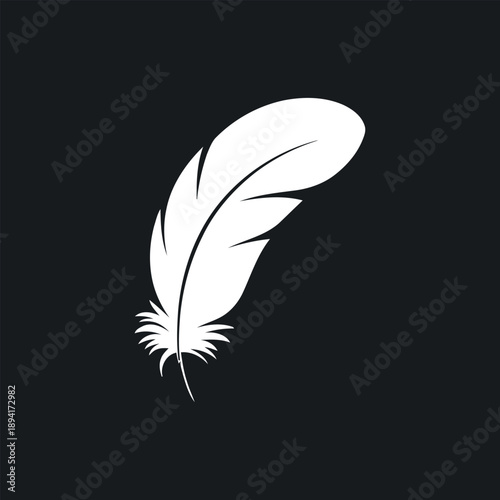 A single white feather presented against a stark black background