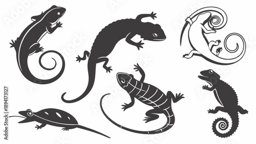 Wildlife Reptile Silhouettes Set Vector Icons Gecko Chameleon Lizard Graphic Design Elements and Nature Logos