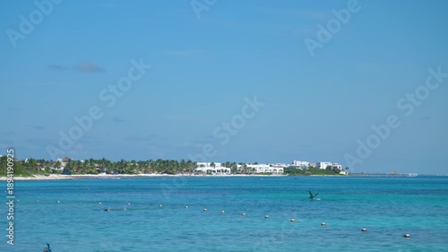 Two Pelicans Over Ocean with One Diving and Taking Off Near Tropical Shoreline