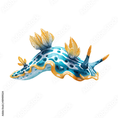 Tableau sur toile Watercolor isometric vector-style illustration of Sea Slug, isolated on white background