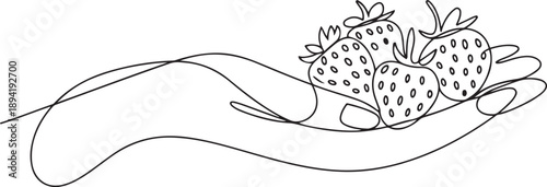 Continuous single one line hand drawing  hand, berry, ripe, fresh. one line Art icon drawing vector