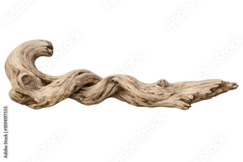 Detailed twisted natural driftwood branch showing aged weathered wood texture on transparent background