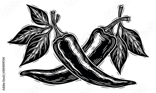 Hand drawn graphic chili pepper set featuring two hot peppers and leaves for food and cooking concepts